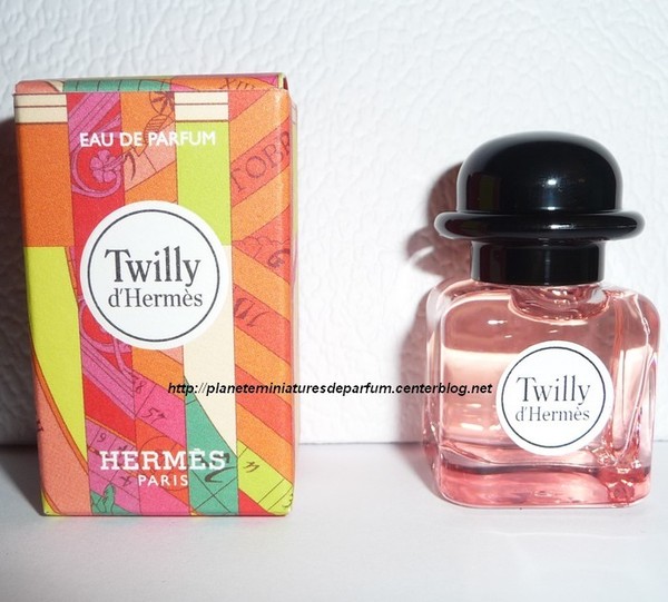 mini twilly hermes