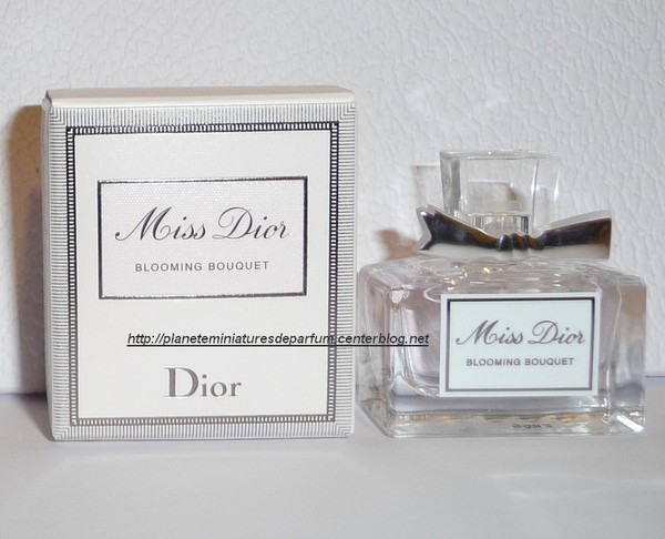 dior dionysus mini