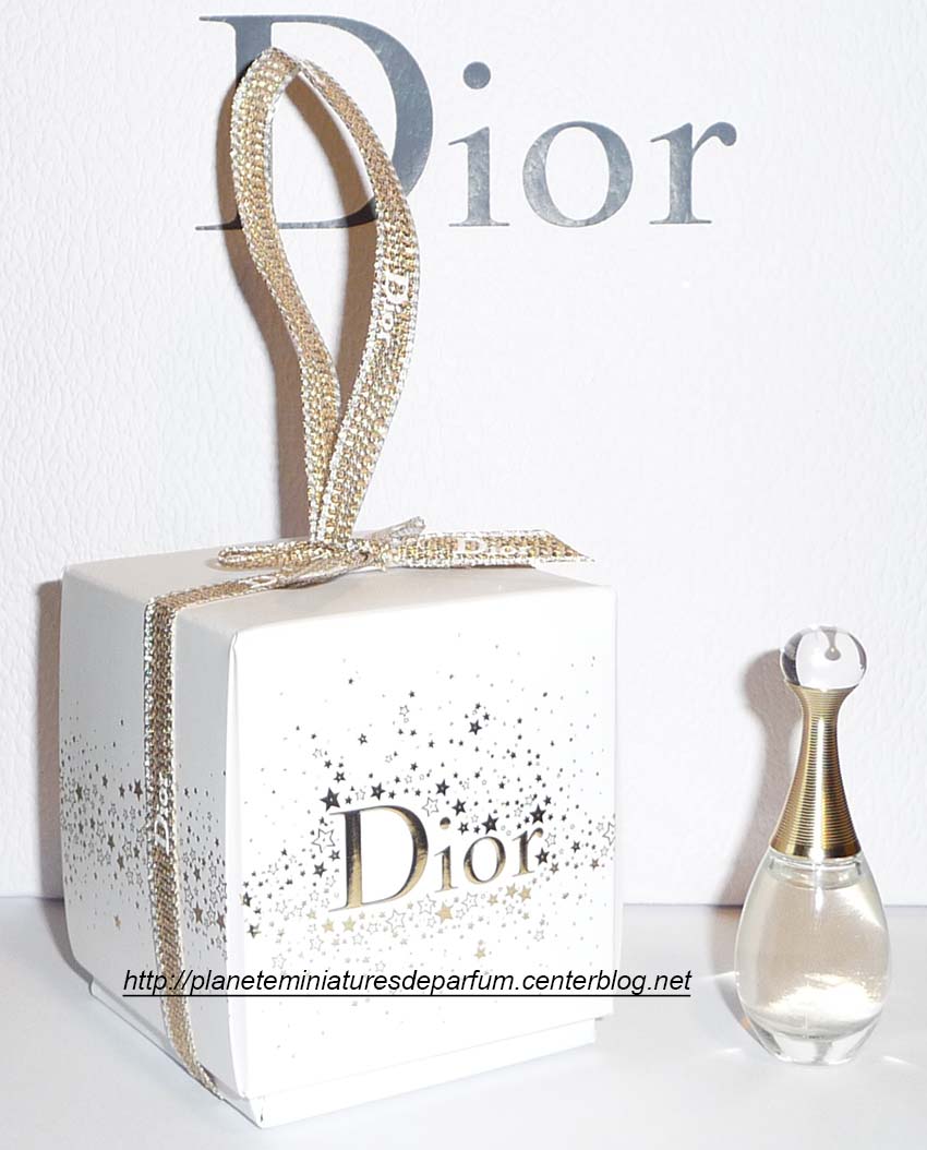 dior dionysus mini