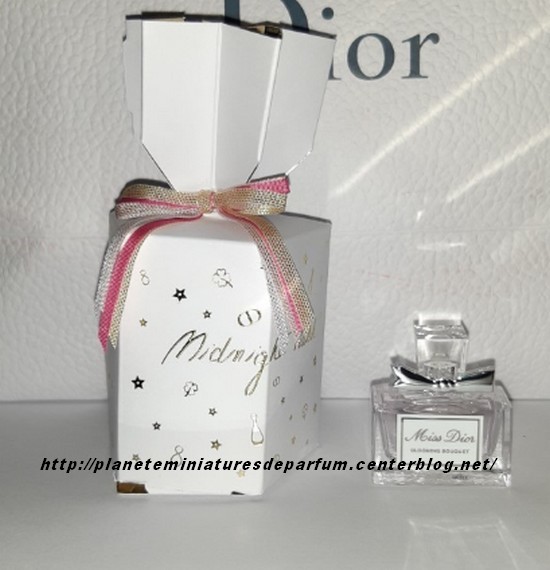 dior dionysus mini